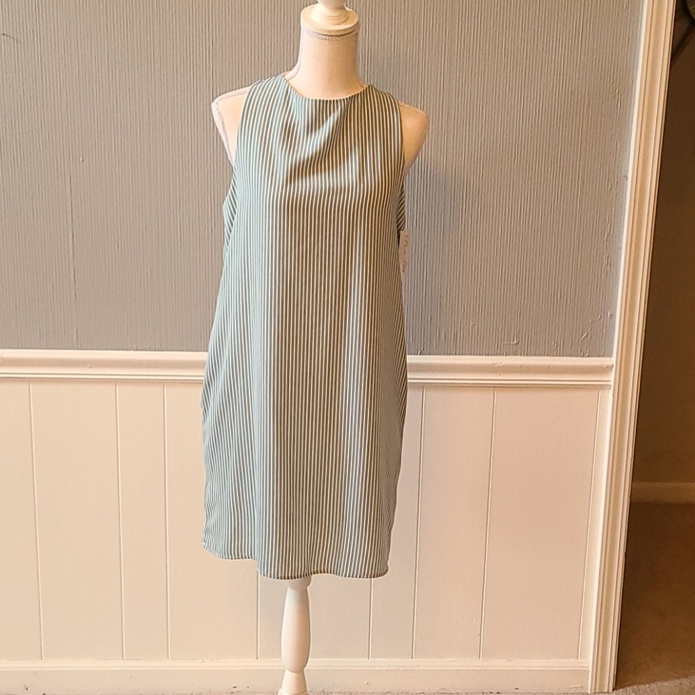 Pink Lilly Dress
